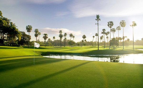 Electrical Magic Palms Golf Course Image